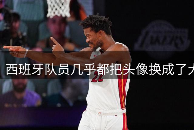西班牙队员几乎都把头像换成了大力神杯照片，除了一位中二小孩